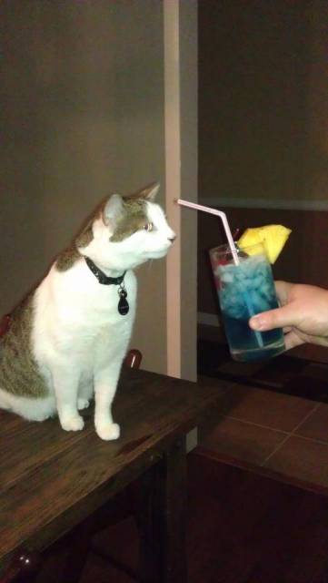 portia and the hurricane.jpg