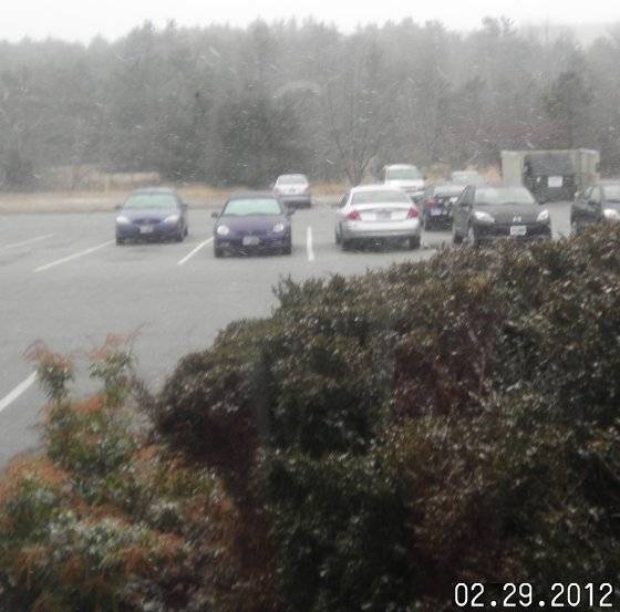 snow cursed.jpg