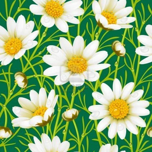 flowers.jpg