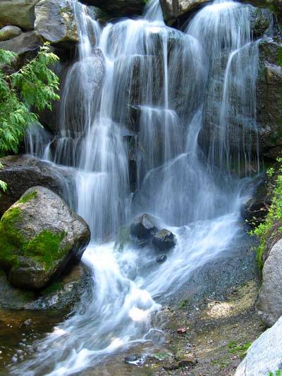 Arboretum_Waterfalls.jpg