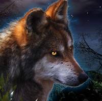 Wolf.jpg