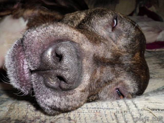 way tired.jpg