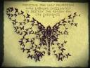 Beer-Can-Butterflies-by-Paul-Villinski (1).jpg