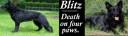 Blitz Sig.jpg