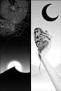 Duality_by__sylph_.jpg