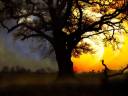 2777fceaa29be9634f9be3eb8e6979f3.jpg