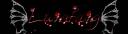 Lun's Sig 3.jpg