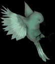 player.png