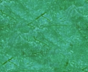 background.png