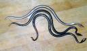forged-metal-3-snakes.jpg