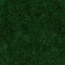 Creeper Template Background.jpg