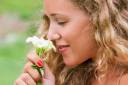 Tika, Scintillating Scents.jpg