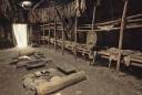 Residential Longhouses.jpg