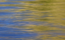 goldandblue.png