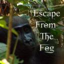 escapefromfog.jpg