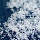 firstsnowfall.jpg