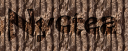 nyctea.png