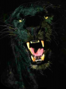 jungle panther.png