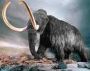 wastemammoth.jpg