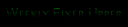 Fixer.png