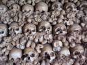 Tower of Bones.jpg