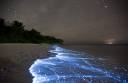 vanti-island-01.jpg