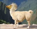 llama alpaca dodo vulture bird funny photoshop animal hybrid digital art combination humor.jpeg