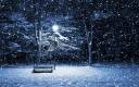 snow-over-park-background.jpg