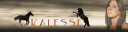 Kalesse top.png