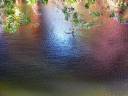 Skyglass Lake.jpg
