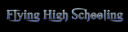 Flying high.png