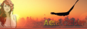 Aela Top.png