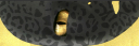 Tristin Bottom.png
