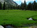 Mountain Meadow.JPG