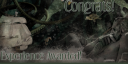 Paragon Grade.png