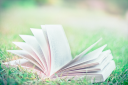 CC Book.png
