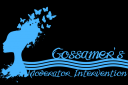 Gossamer intervention.png