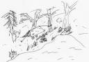 Campsite.jpeg
