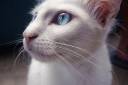Open_your_eyes_by_caiodiniz1.jpg