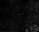 wallpaper23.jpg
