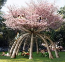 tree house.PNG