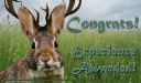 Jackalope Grade.png