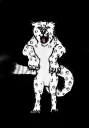 rough.png
