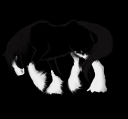 Drawing.png