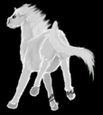 ginchoeri.png