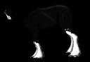 Good image.png