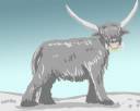 woolly.jpg