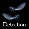 detection.jpg