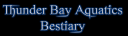 thunderbay.png