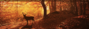 Luk Botoom Plain.png